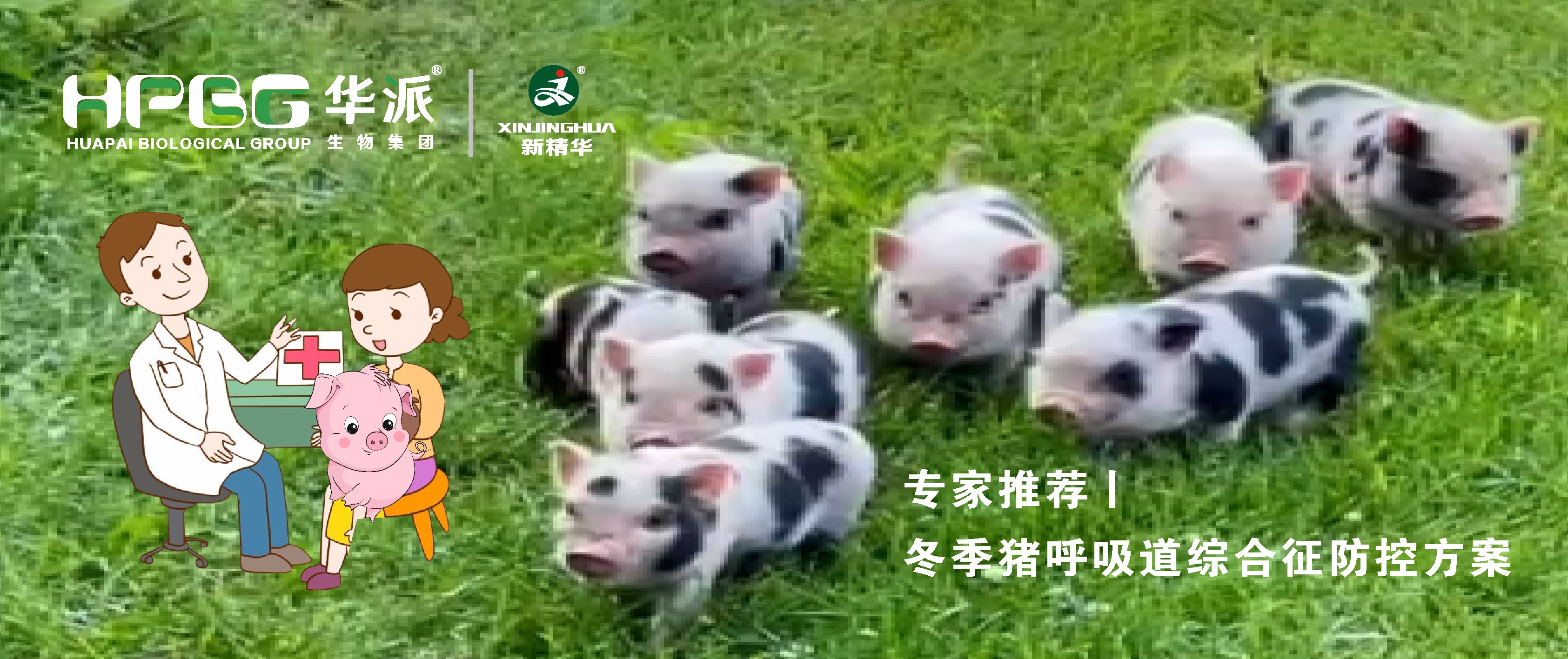 视频丨冬季猪呼吸道综合征防控方案，请收好&hellip;&hellip;