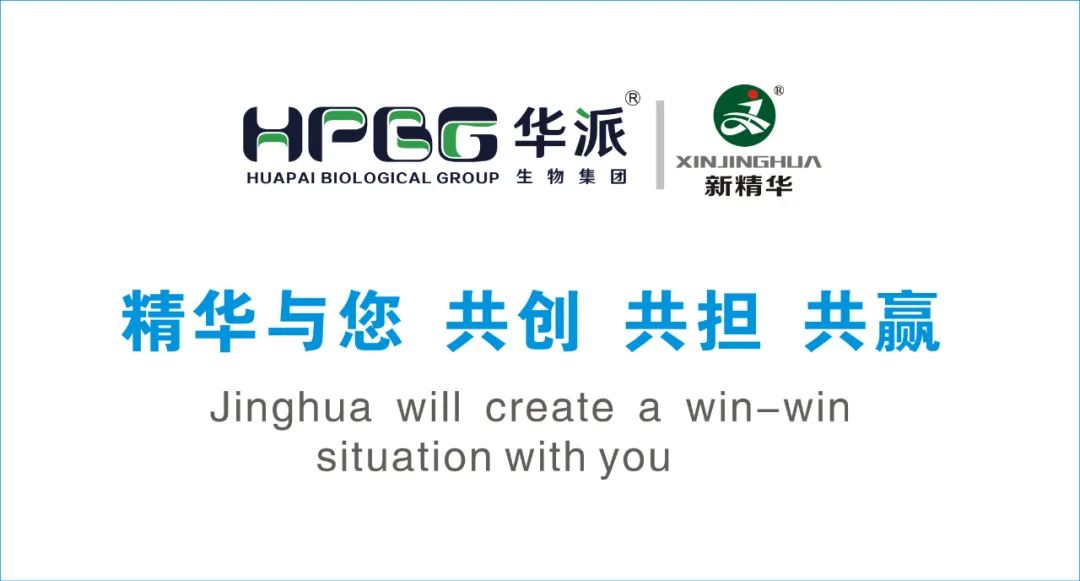 企业简介 |华派集团&bull;J9国际站备用药业（成都）有限公司
