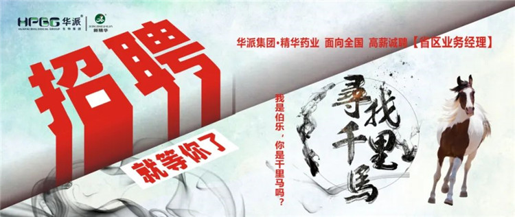寻找千里马 | 华派集团&bull;J9国际站备用药业面 向全国高薪诚聘【省区业务经理】 我是伯乐，你是千里马吗？