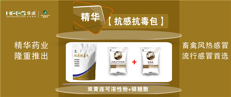 科普：几种常见畜禽感冒与流行性感冒的防控 |【抗感抗毒包】抗菌消炎、解热排毒、抗毒增免，畜禽风热感冒、流行感冒首选!