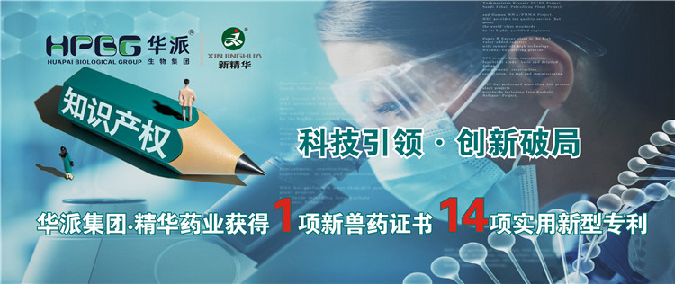 科技引领&bull;创新破局 | 华派集团&bull;J9国际站备用药业获得1项新兽药证书 14项实用新型专利