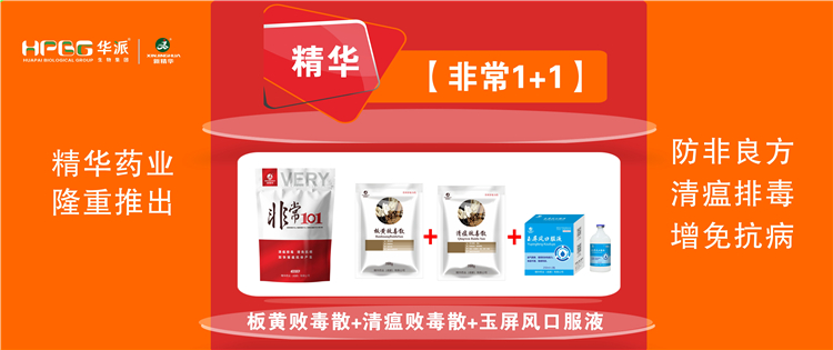 科普：非洲猪瘟防控措施 |【非常1+1】防非良方, 清瘟排毒、增免抗病，加快猪瘟抗体产生!